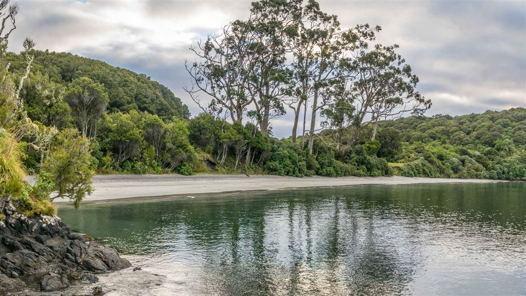 Port William Conservation Campsite: Rakiura National Park, Southland Region