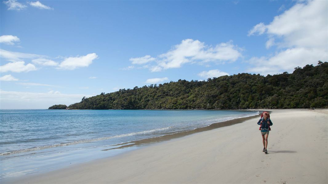 Tramper on Maori Beach, Stewart Island.