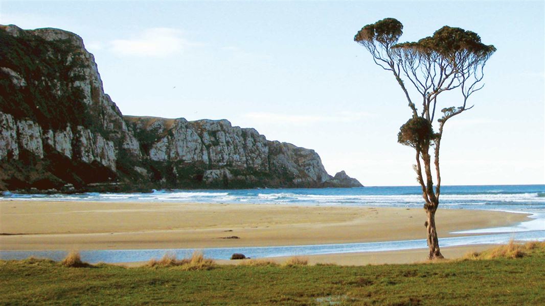 Purakaunui Bay.