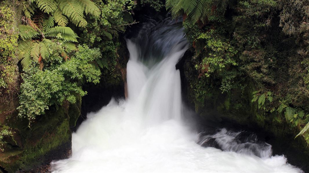 Ōkere Falls. 