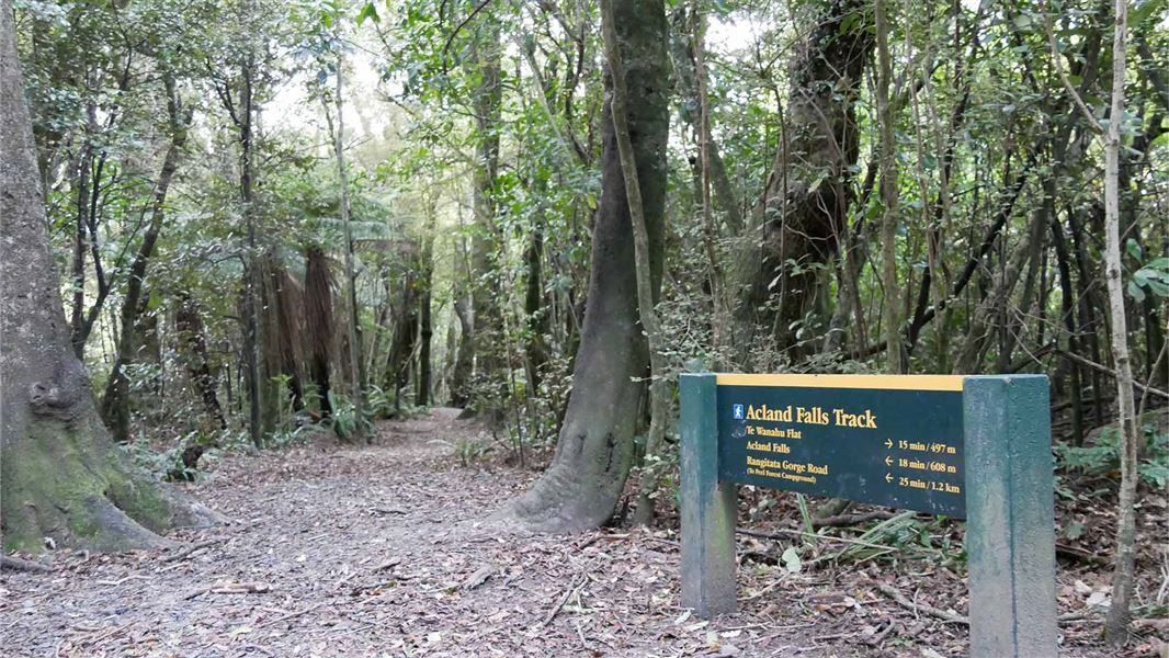 Way sign for the Acland Falls track in Peel Forest Park Scenic Reserve.