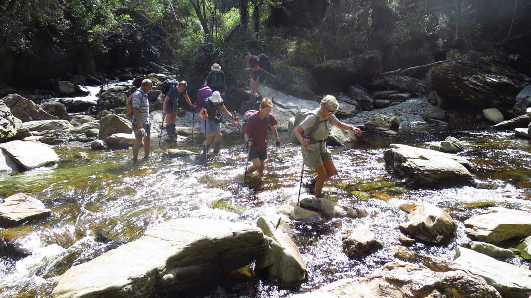 Kaituna Forks river crossing. 