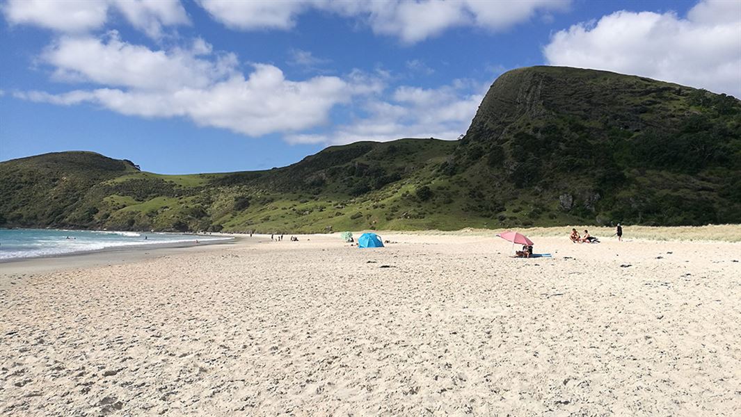 Beach at Kapowairua (Spirits Bay). 