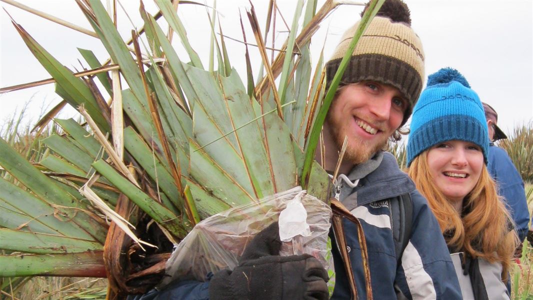 Two young adults carrying a large plant.