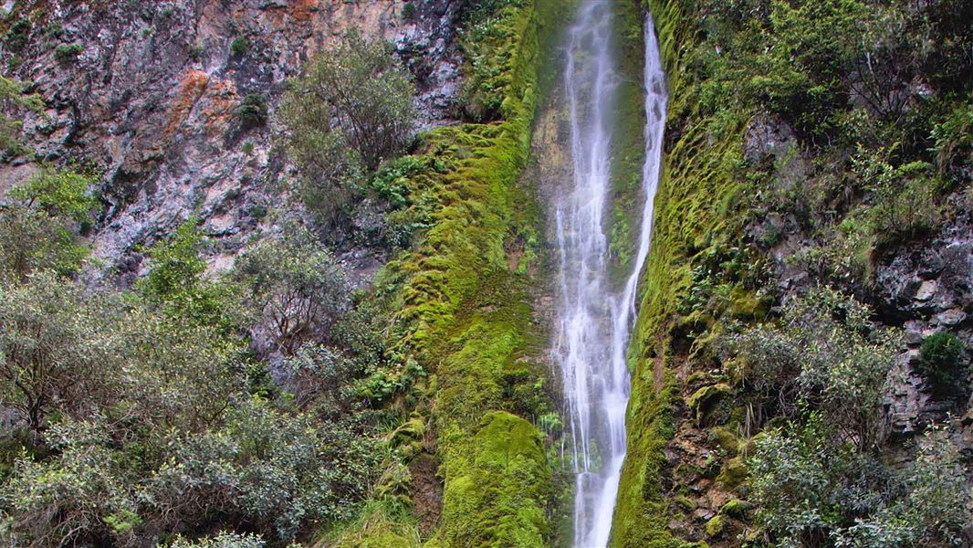 A tall watrfall cascading down along a mossy covered cliff.