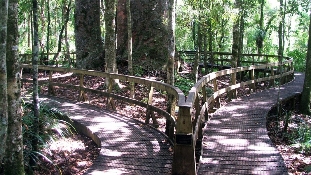 Four Sisters Walk. 