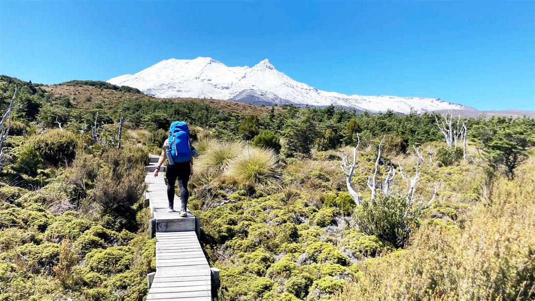 Tramper on a board walk with Mt Ruapehu in the distance. 