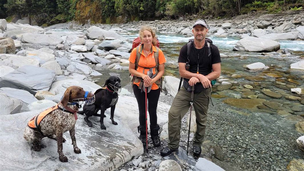 Two DOC rangers with their conservation dogs river side. 