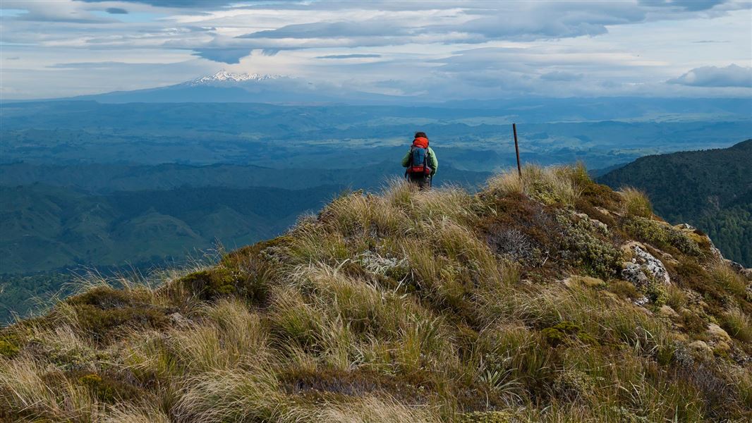 Person looking out to Hikurangi Range. 