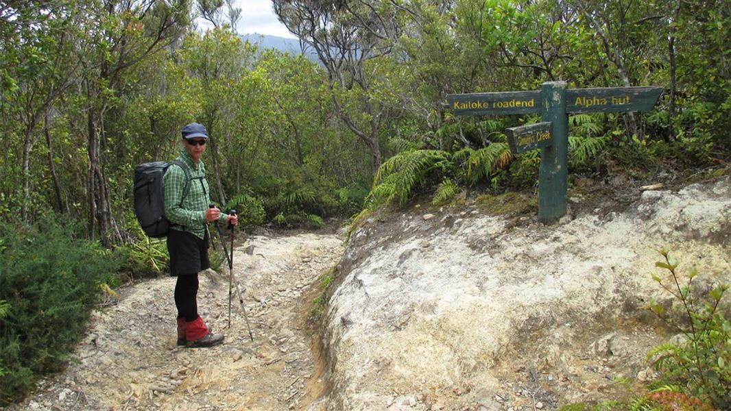 Dobson Loop Track