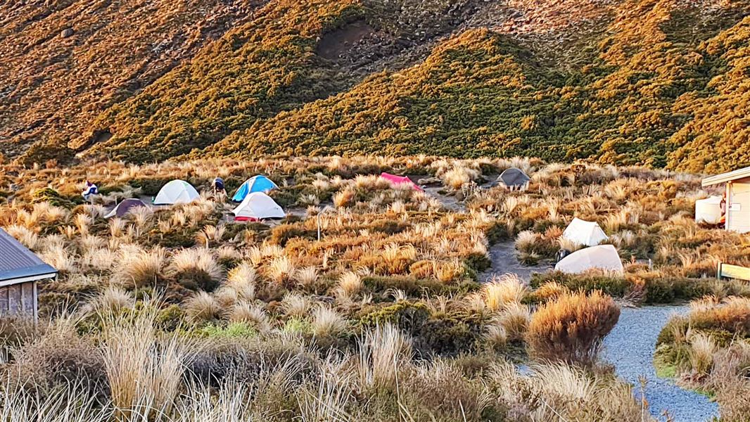 Tents in clearing outside hut.