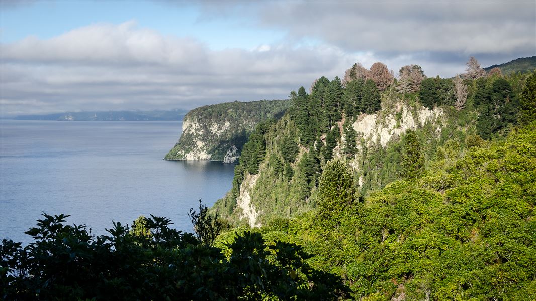 Whakaipo Bay. 