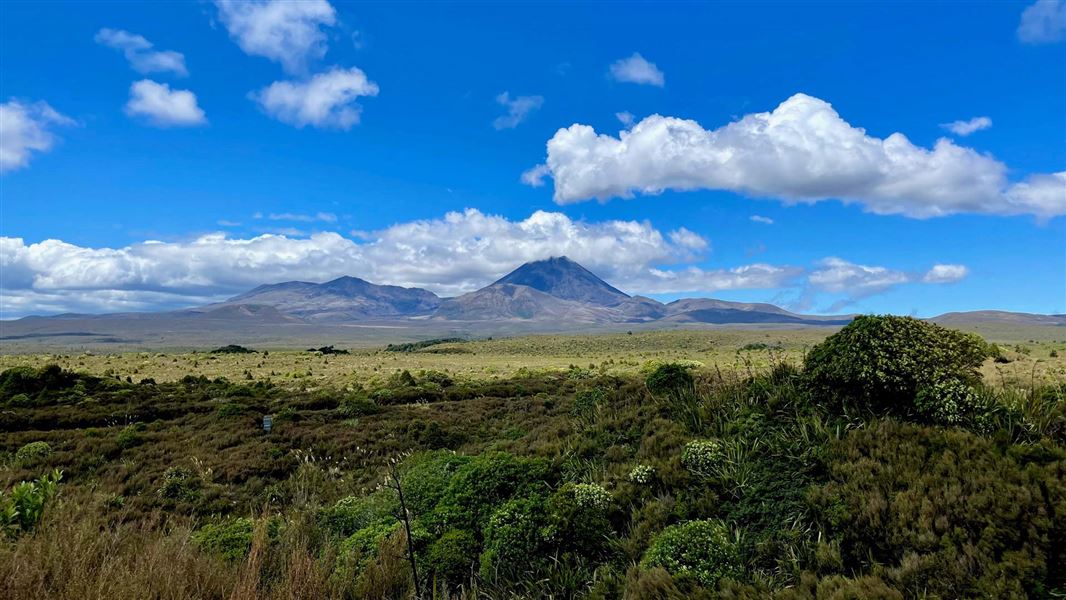 View across Tongariro National Park towards Mt Ngauruhoe.