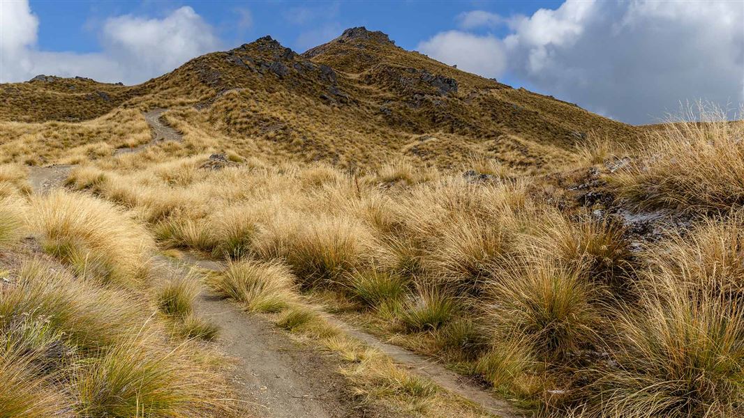 Isthmus Peak Track. 