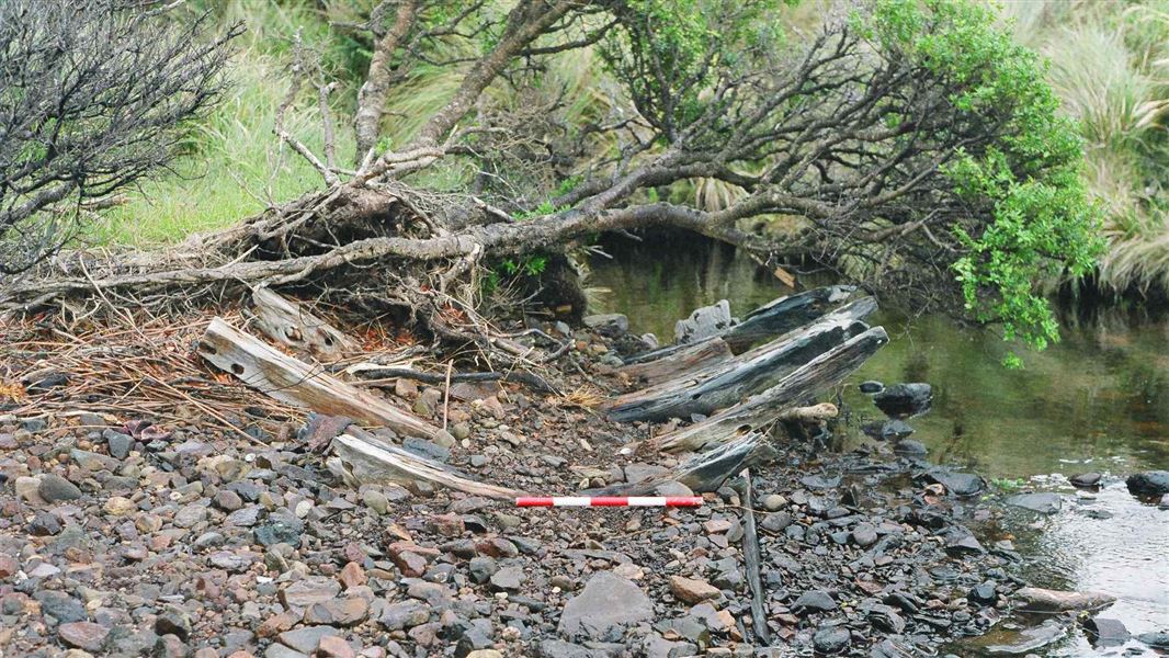 Wreck of the Grafton on Auckland Island