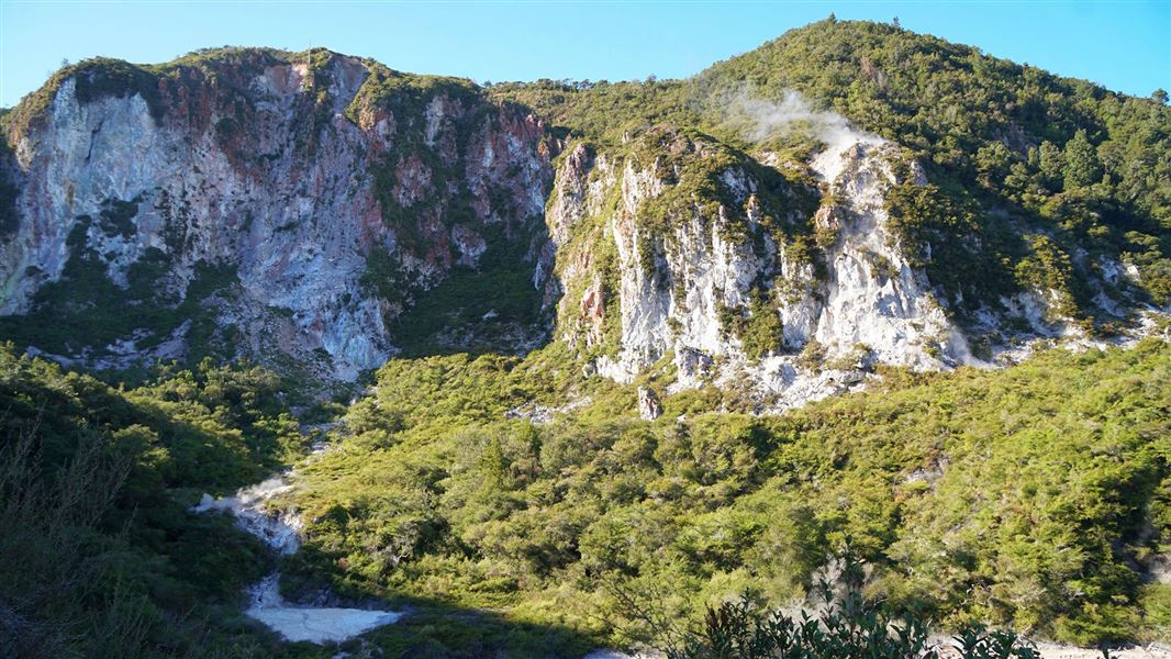 View of trees and cliffs.