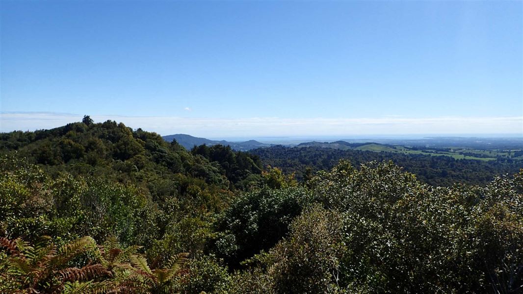 Otanewainuku Summit towards Otawa Trig. 