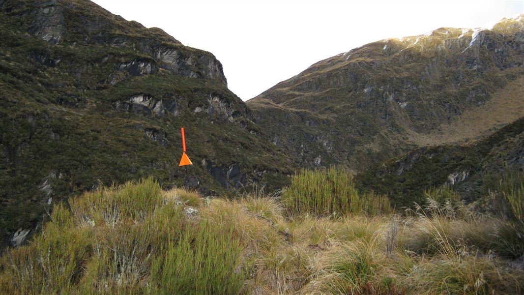 Albert Burn Conservation Area