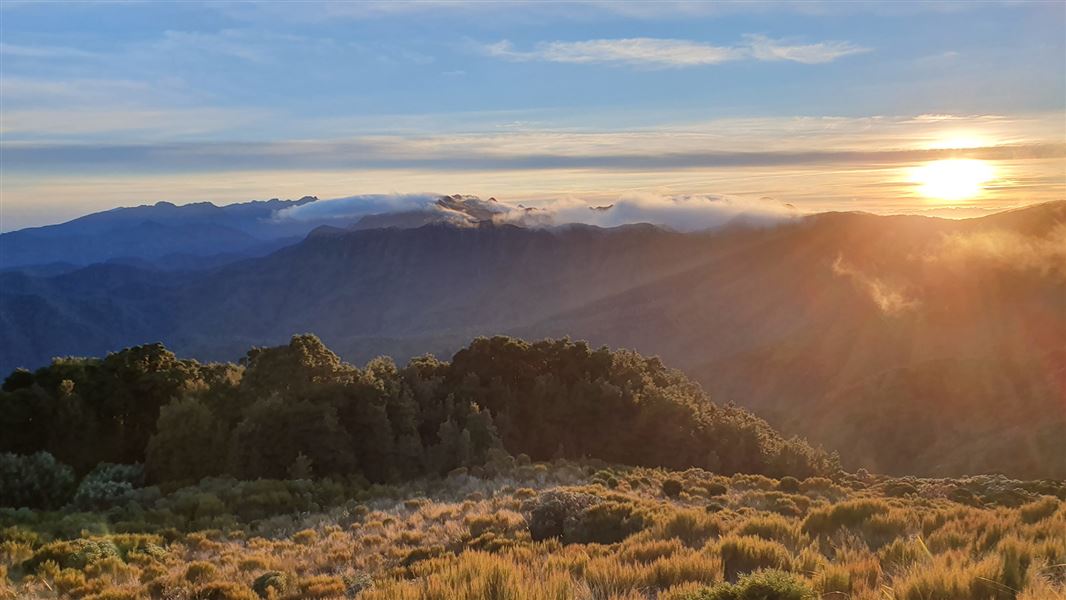 A sunset view over mountains and forest.