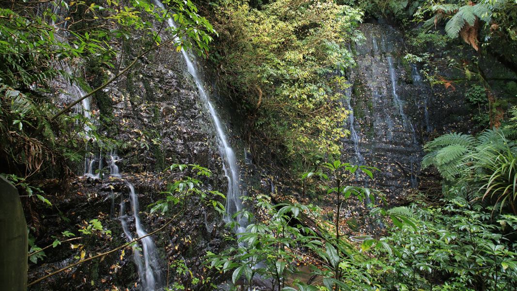 Barrs Falls. 