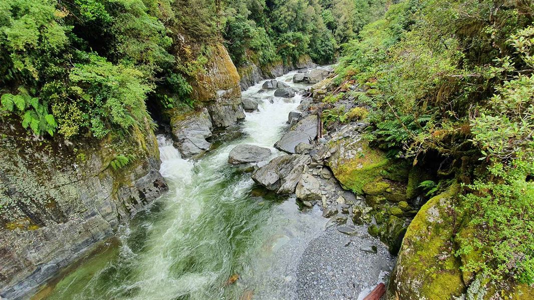 A deep mossy gorge with a green river at the bottom.