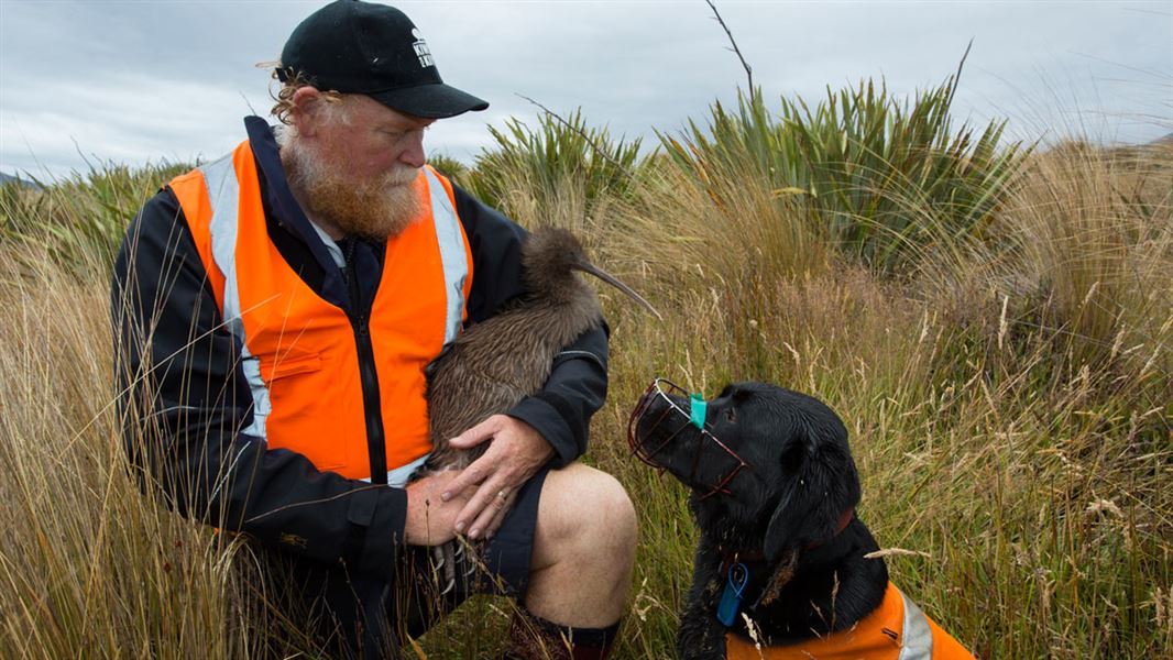 Hugh Robertson with kiwi and dog. 