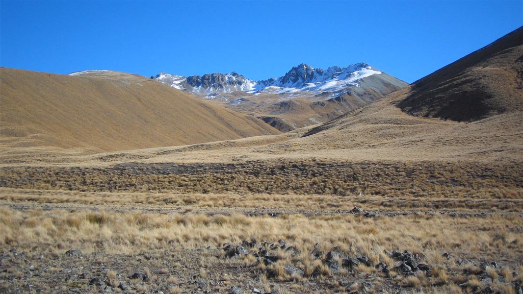 Te Kahui Kaupeka Conservation Park