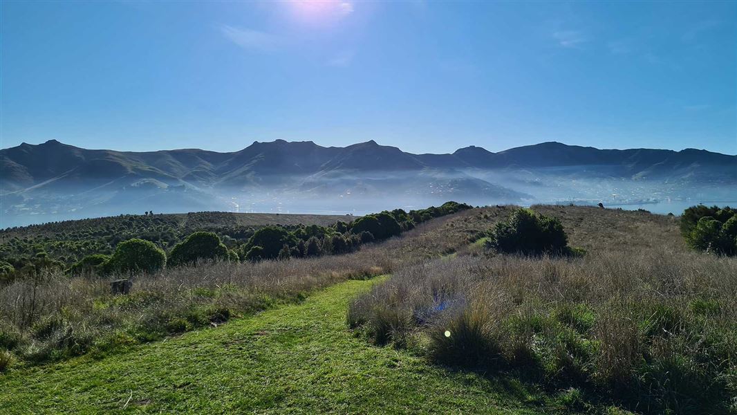 Ōtamahua/Quail Island. 