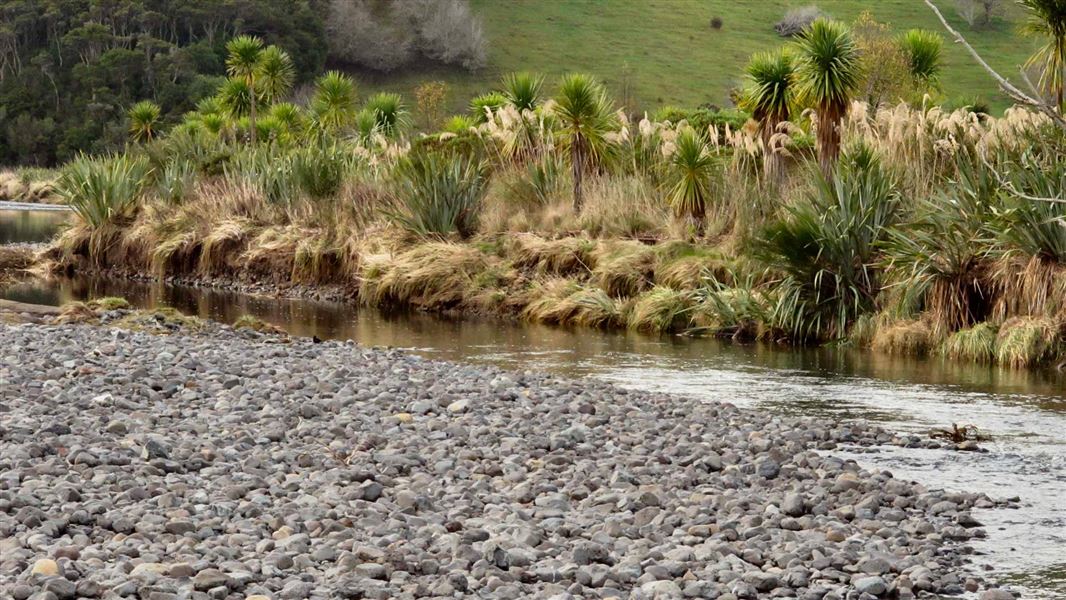 Waitati River at Orokonui Estuary. 