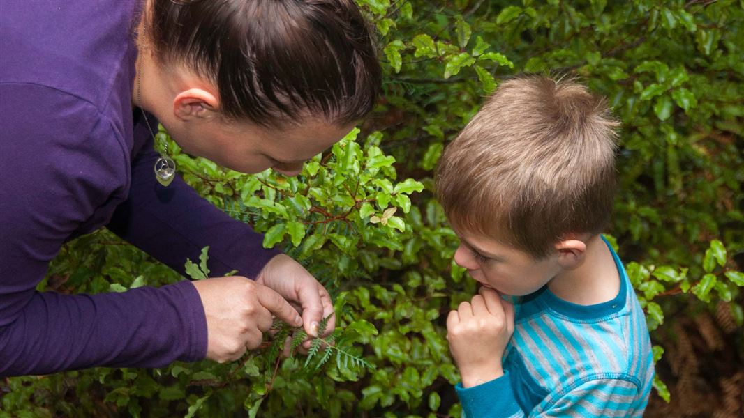 Adult and child looking at plant. 