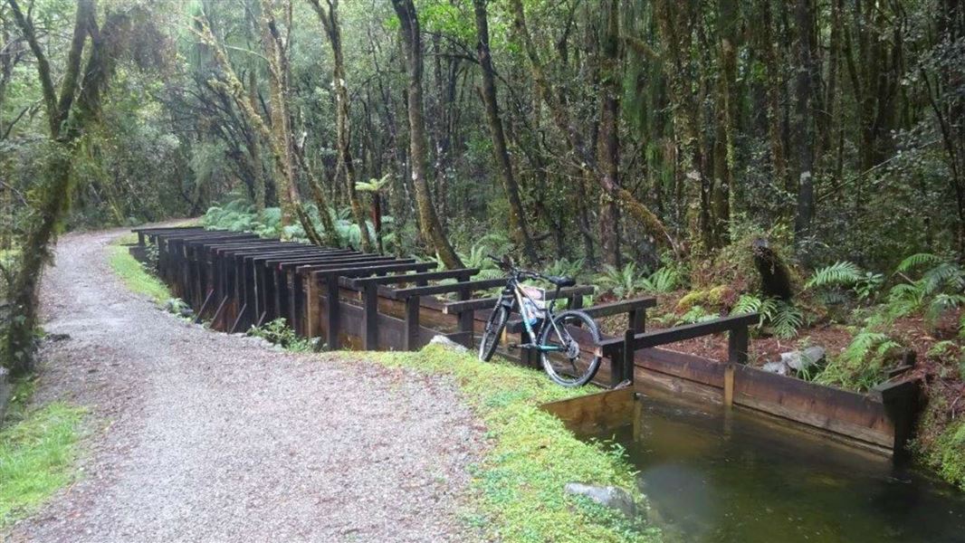 Kaniere water race walkway.