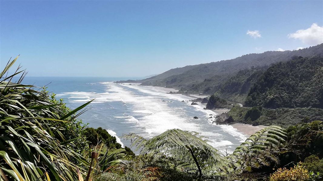 Forested hills meet a wild sea in this high view up a coast.