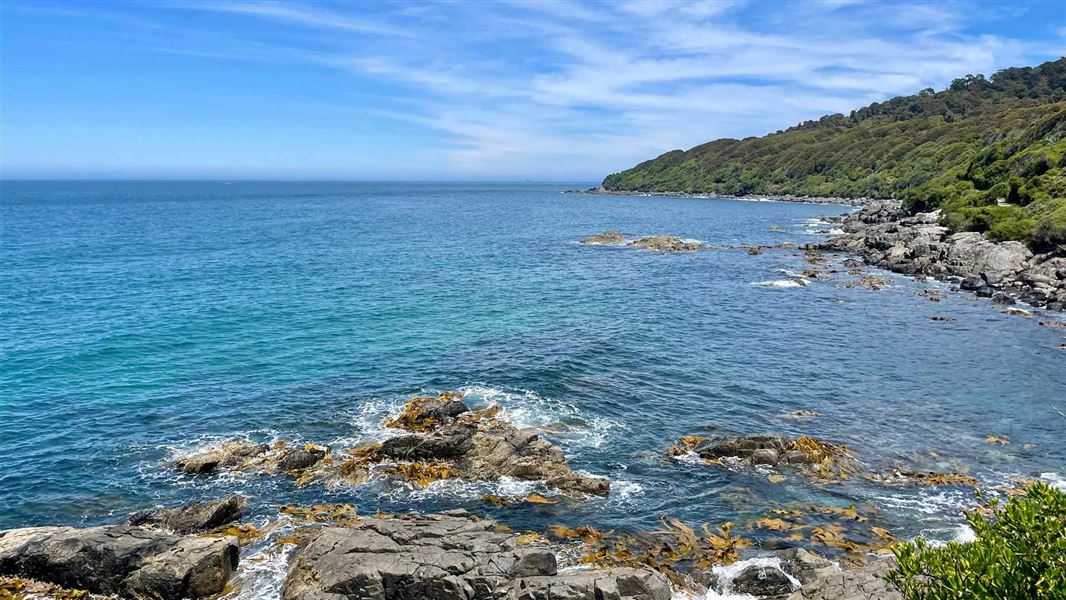 Blue sky and rocky coastline with native bush. 