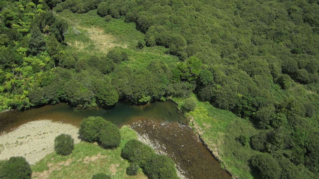 Mahoenui Track from the air. 