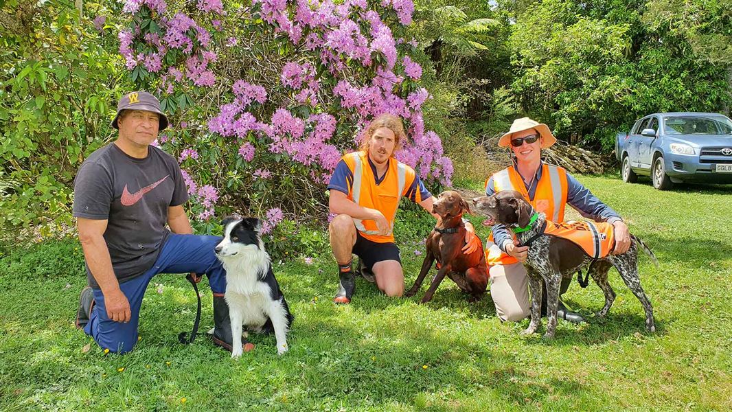 Three people kneel on the ground next to their dogs.