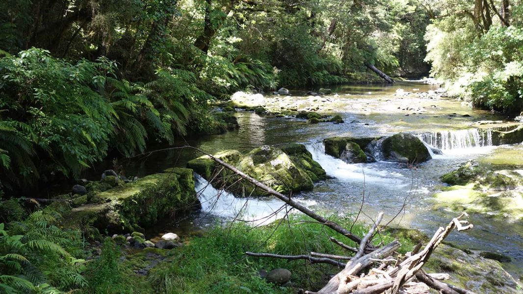 Six Mile Creek with old weir. 