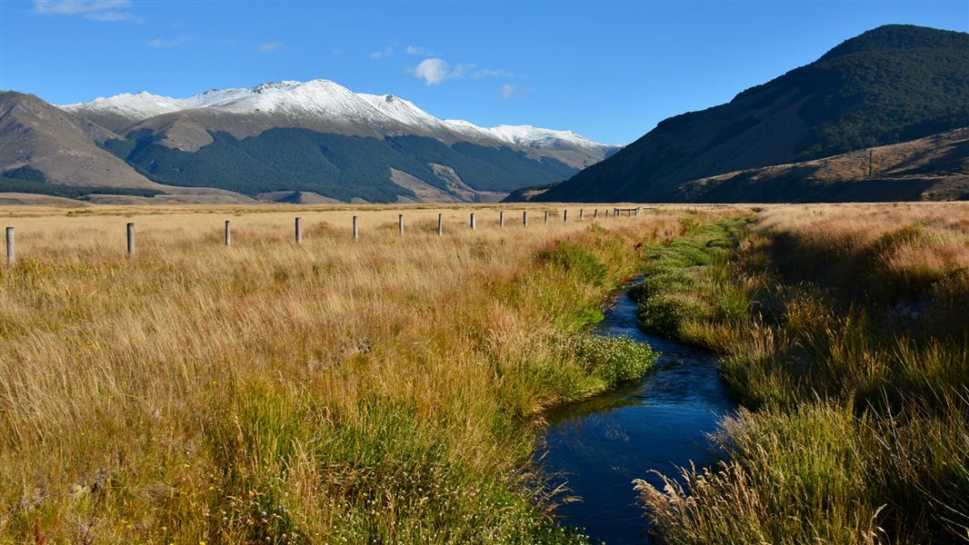 Eyre Mountains/Taka Ra Haka Conservation Park.