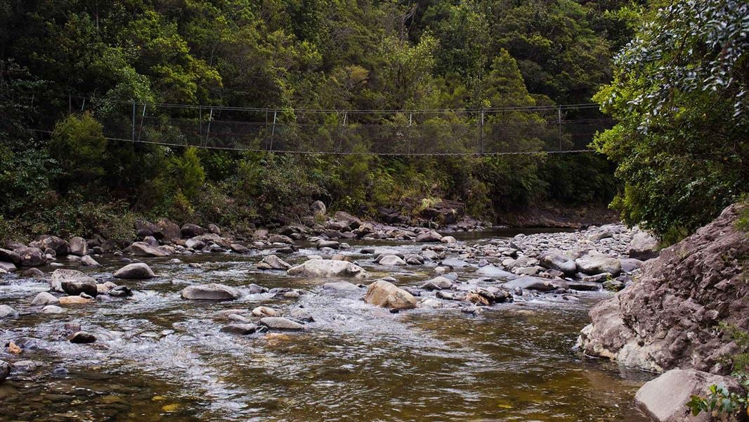 Pinnacles Track swing bridge.