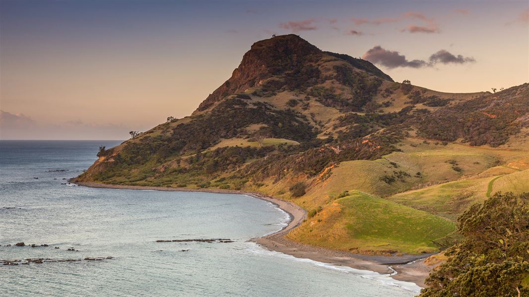 Fletcher Bay, Coromandel Peninsula. 