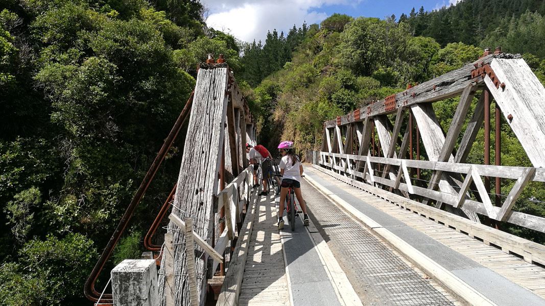 Remutaka Rail Trail: Remutaka Forest Park, Wairarapa and Wellington region