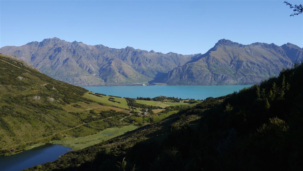 Mt. Crichton Loop Track. 