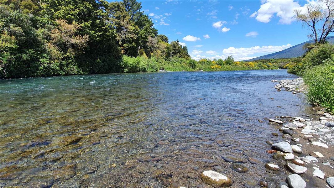 A blue river flows between forested banks on a sunny day.