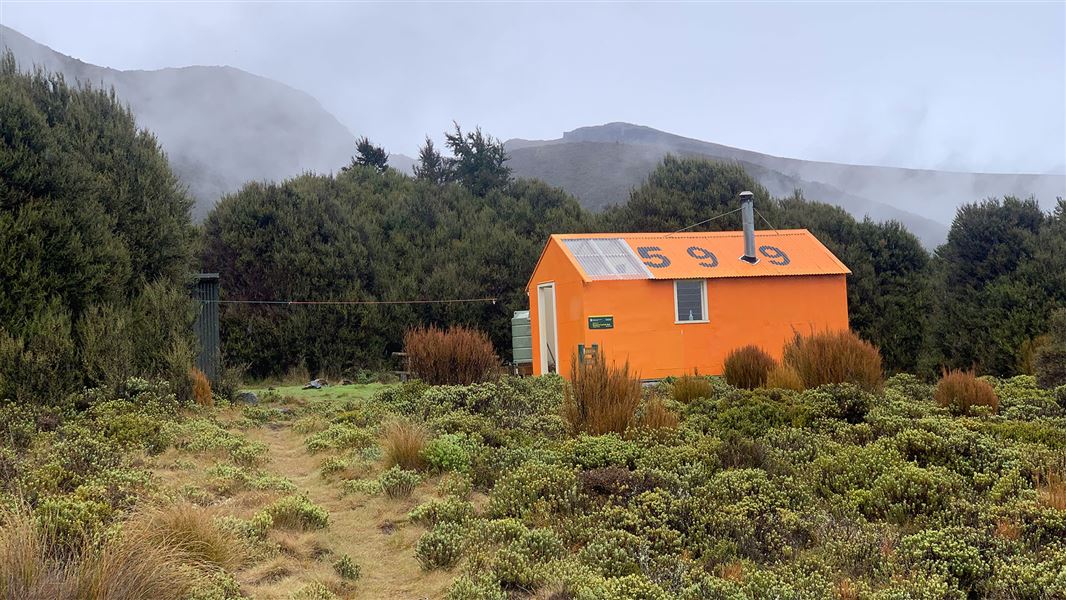 Orange hut by trees and shrubs.