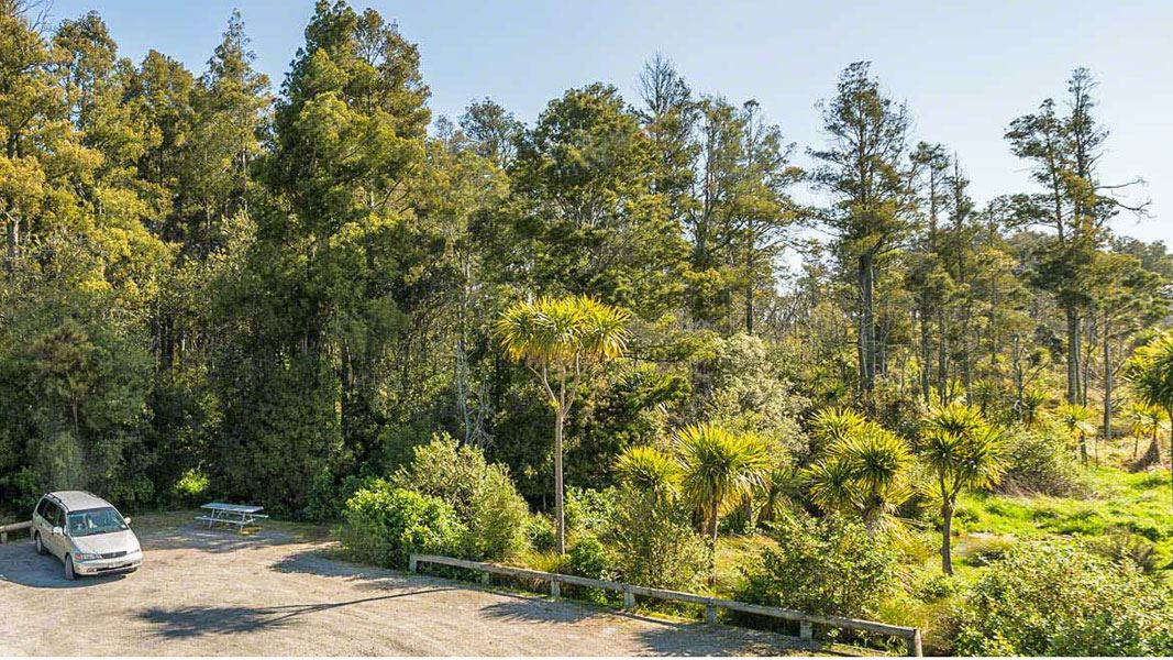 Car parked among trees in Gordon Park Scenic Reserve. 