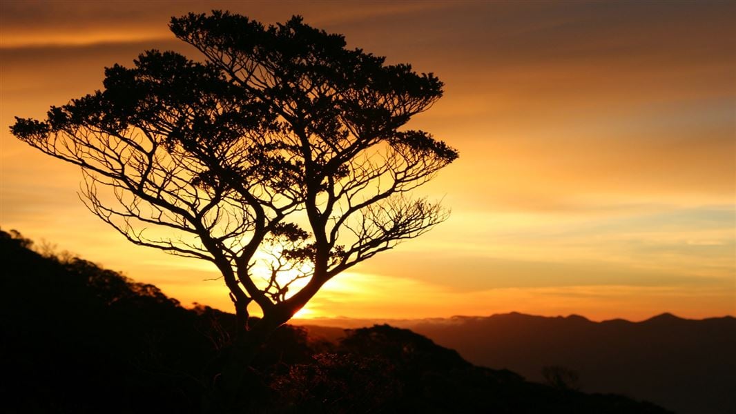 Sunset over Parapara Peak. 