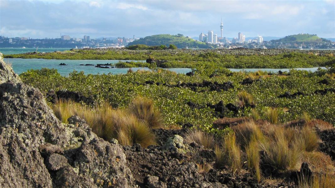 View of Auckland from Rangitoto Island. 