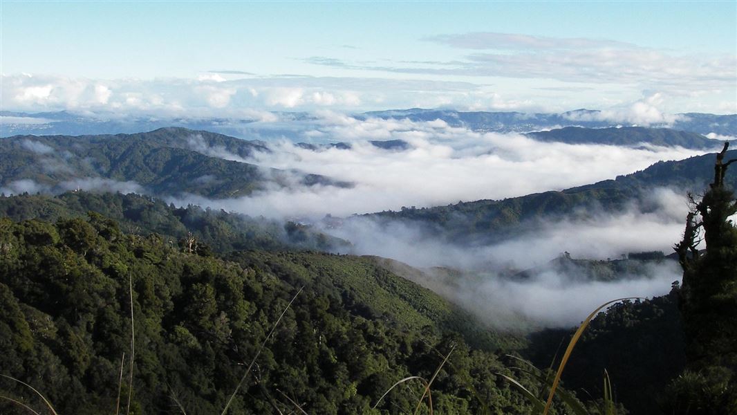 Misty mountains viewed from Mt McKerrow. 