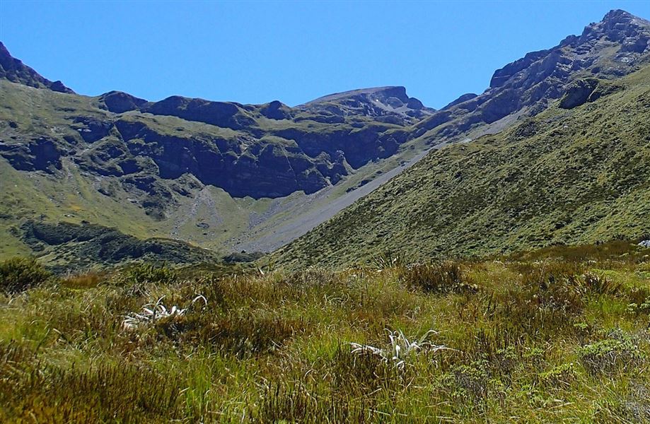 Ellis Basin. 