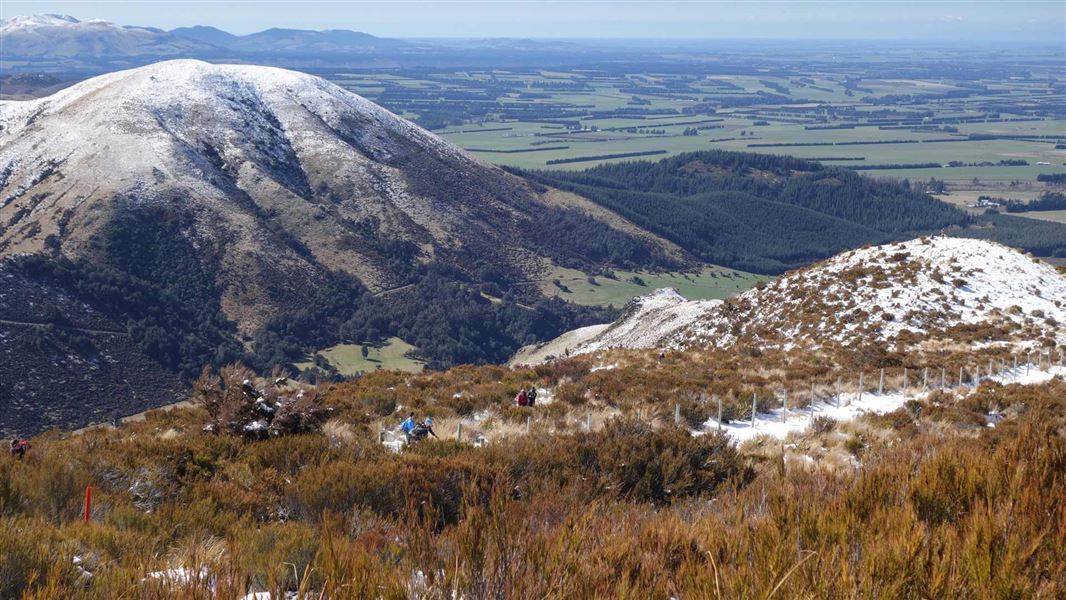 View from Mt Alford Track. 