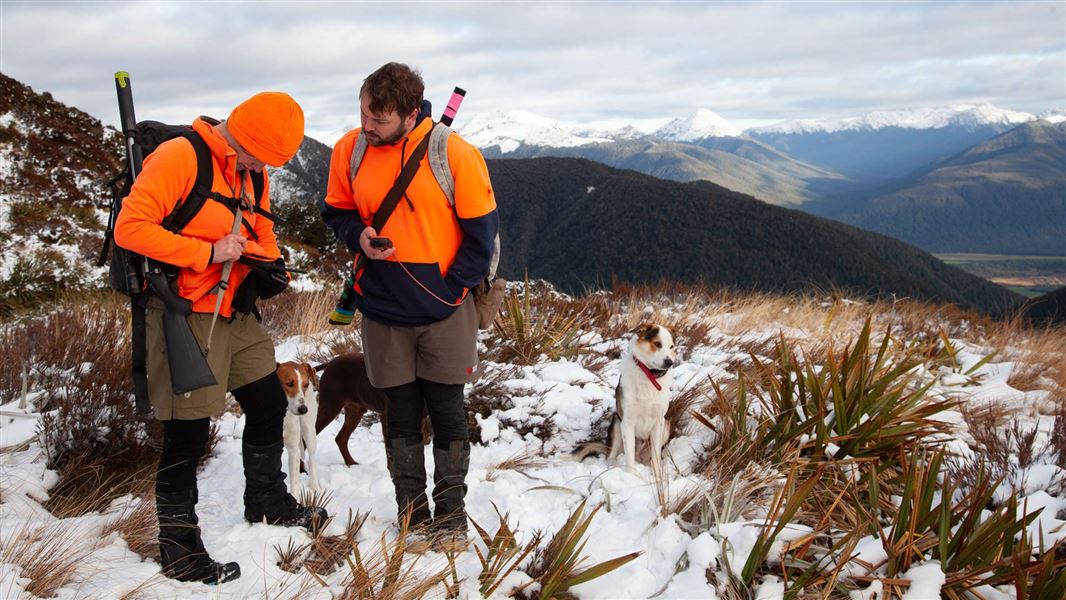 Two DOC staff with rifles over their shoulders, dogs and in snow, checking GPS devices. 